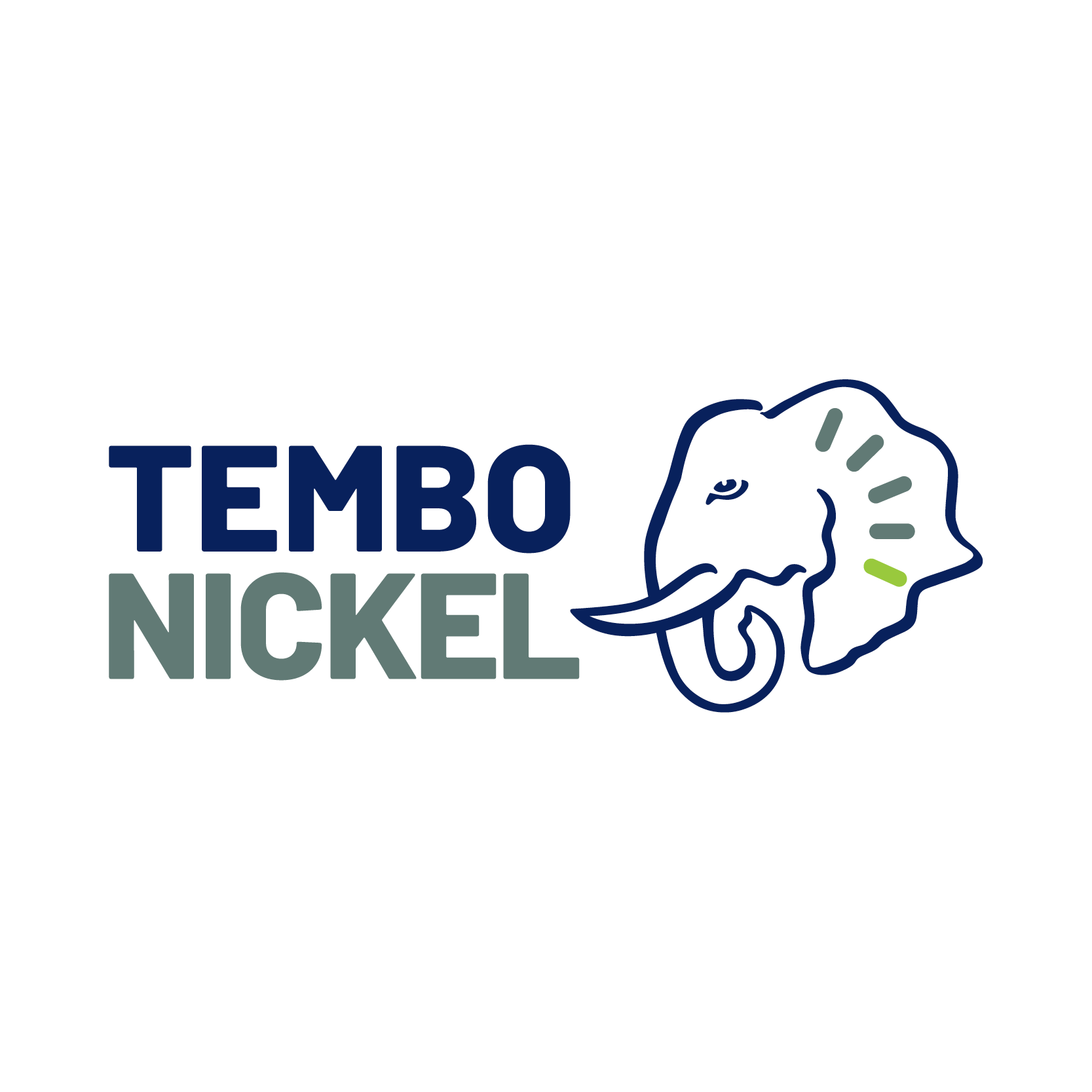 Tembo Nickel